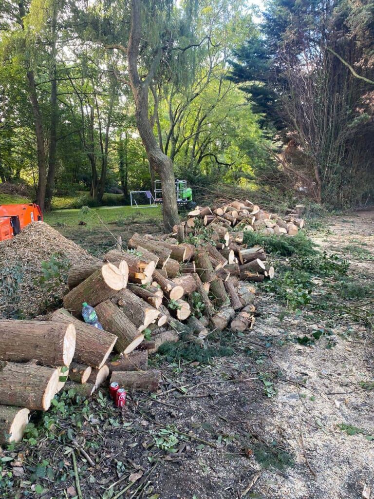This is a photo of an overgrown large garden, which is in the process of having tree removal. The photo shows a stack of logs along the left hand side, from all the trees which are being removed. Photo taken by Ely Tree Surgeons.
