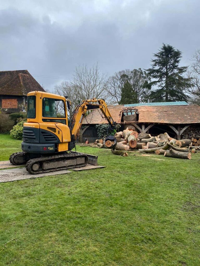 This is a photo of a country house, and the outbuilding has had a tree growing through its roof. The tree is currently being removed in the photo, and there are sections of the tree stump on the ground in front of the building. There is also a JCB which is being used to lift the sections of trunk. Photo taken by Ely Tree Surgeons.